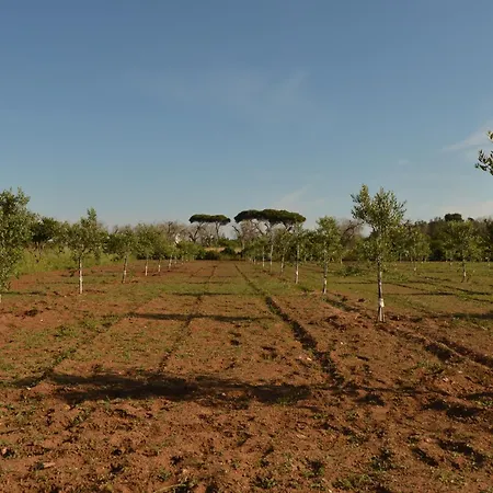 Πανσιόν Il Monile