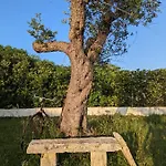 Bed and Breakfast Il Monile - Authentic Salento Hospitality Near Οτράντο