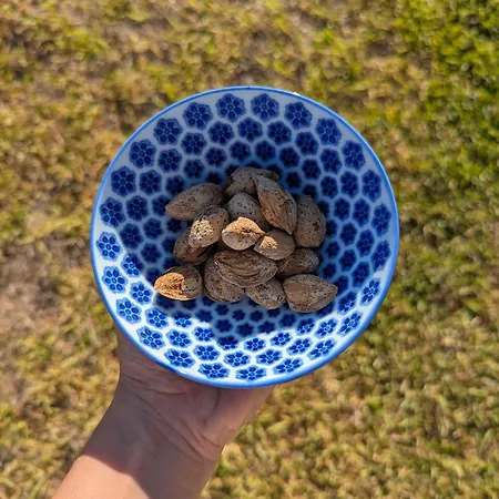 Affittacamere Il Monile 3*