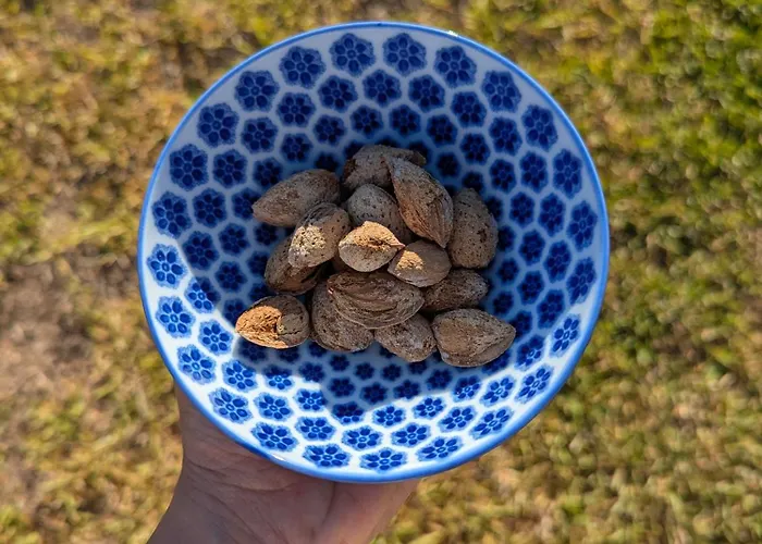 Frühstückspension Il Monile 3*